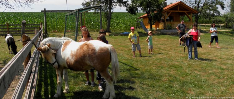 Reiterferien in Bayern am Ponyhof in Bayern